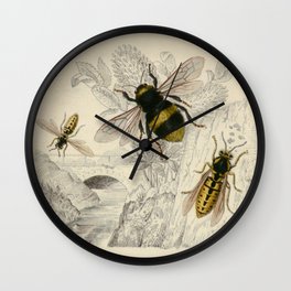 Naturalist Bee And Wasps Wall Clock