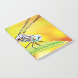 Dragonfly Dreams Notebook