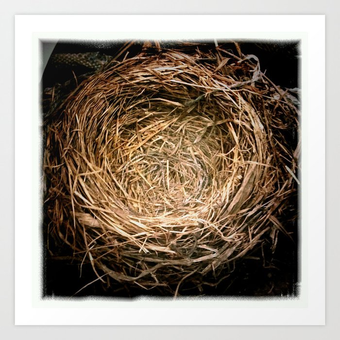 a handmade nest Art Print