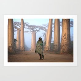 Avenue of the Baobabs Art Print