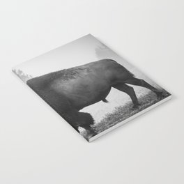 Buffalo in the fog at Yellowstone Notebook