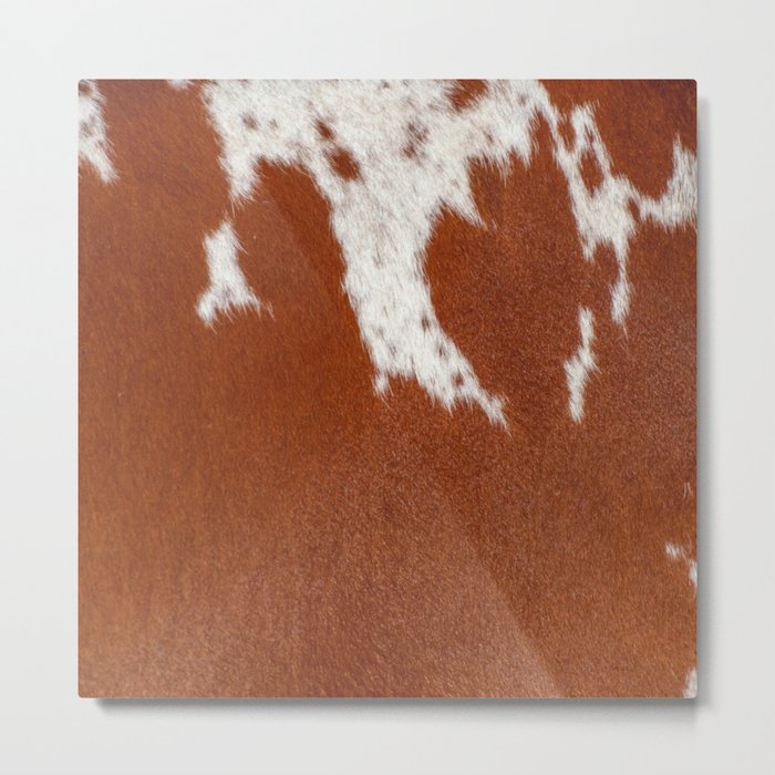 Cowhide, Cow Skin Print Pattern Modern Cowhide Faux Leather Metal Print