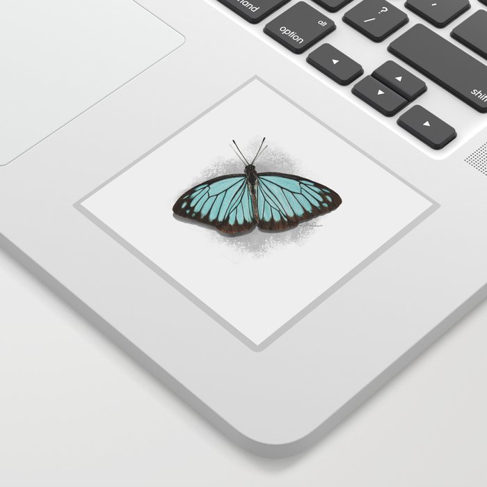 Indian wanderer butterfly scientific illustration art print Sticker