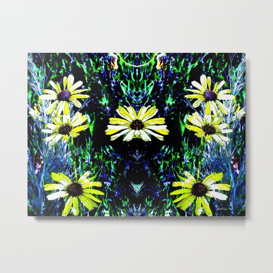 Daisies. © J&S Montague. Metal Print