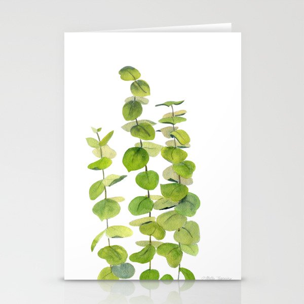 Eucalyptus Watercolor 7 Stationery Cards