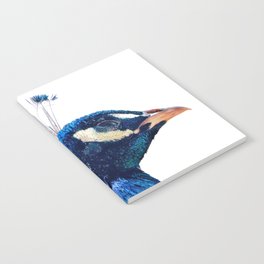 Peacock Profile Notebook