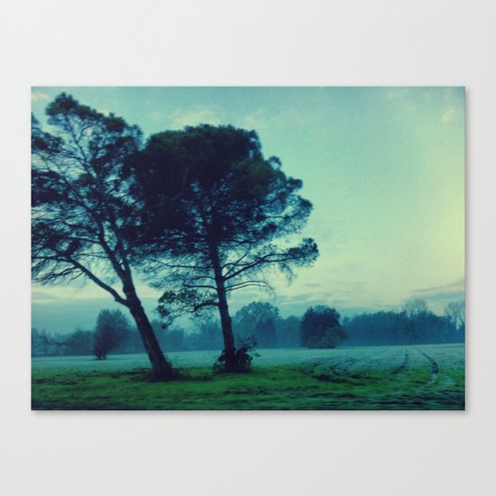 Illusion Canvas Print