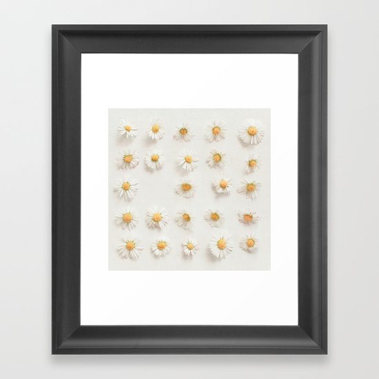 Daisy Collection Framed Art Print
