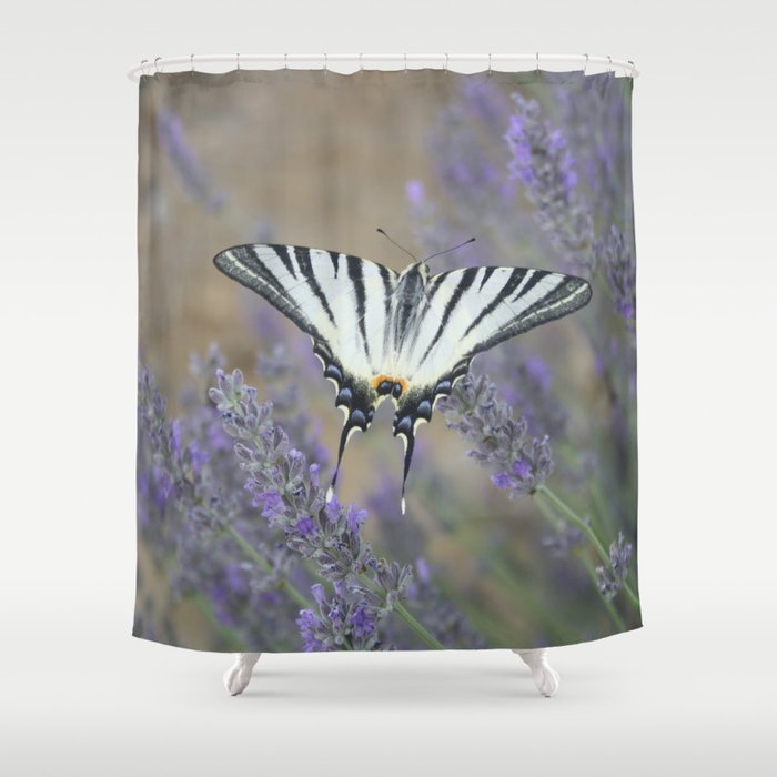 Elegant Swallowtail On Lavender Spike Photograph Shower Curtain