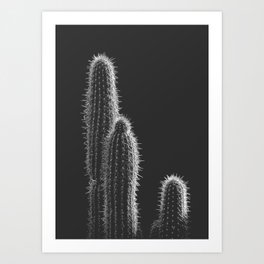 Midnight Cactus Art Print
