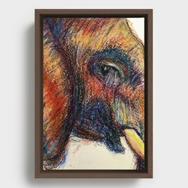Wise old elephant  Framed Canvas