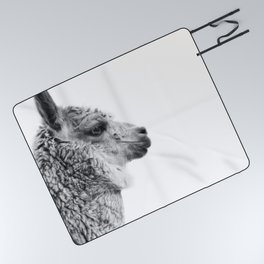 Llama Drama | Alpaca Animal Photography Picnic Blanket