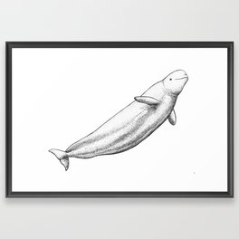 Beluga Framed Art Print