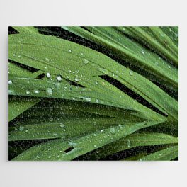 Rain Drops on Green Leaves Jigsaw Puzzle