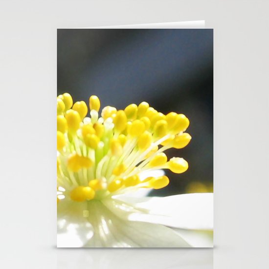 Anemone Stationery Cards