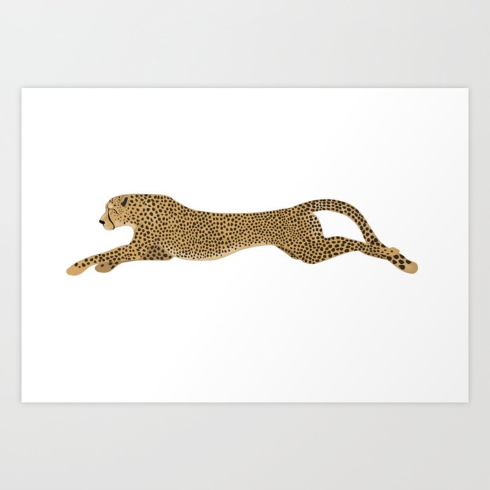 Cheetah Kunstdrucke Cheetah Kunstdrucke