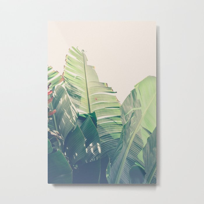 Diversity - tropical banana leaf photograph Metal Print