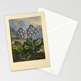 Auriculas from "The Temple of Flora," 1812 (benefitting The Nature Conservancy) Stationery Card