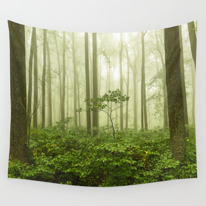 Dreaming of Appalachia - Nature Photography Digital Landscape Wall Tapestry
