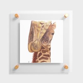 Baby giraffe and his mother Floating Acrylic Print