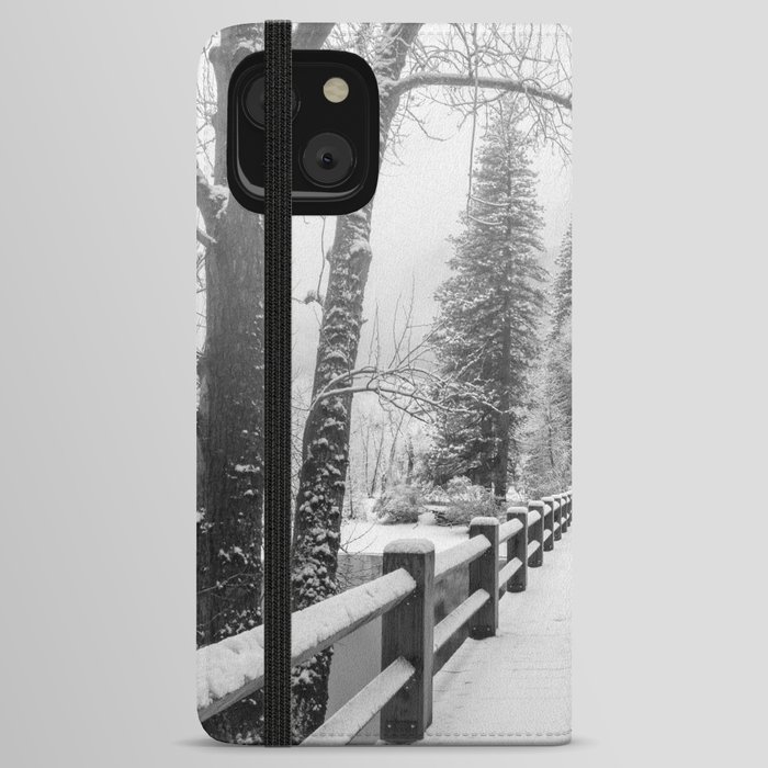 Bridge of the Seasons  iPhone Wallet Case