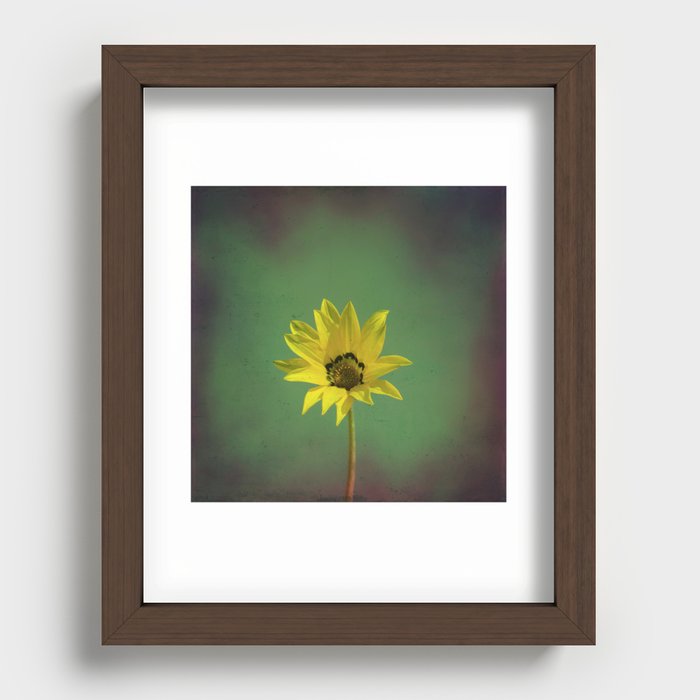 The yellow flower of my old friend Recessed Framed Print
