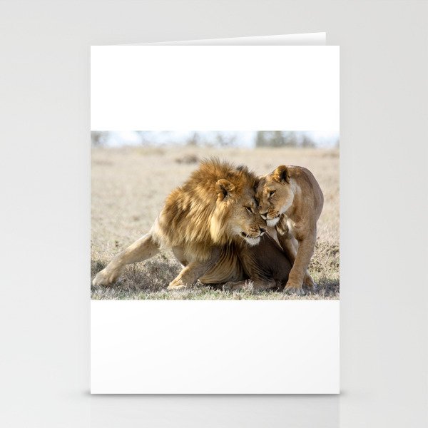 Lions in Love Stationery Cards