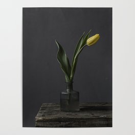 Fine-art photography | still life | yellow tulip | photo print Poster