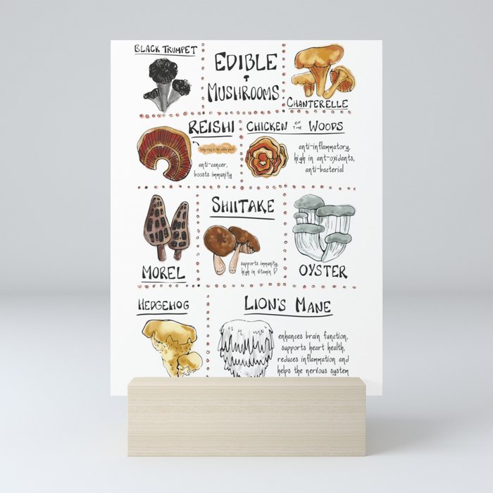 Edible Mushroom Chart Mini Art Print