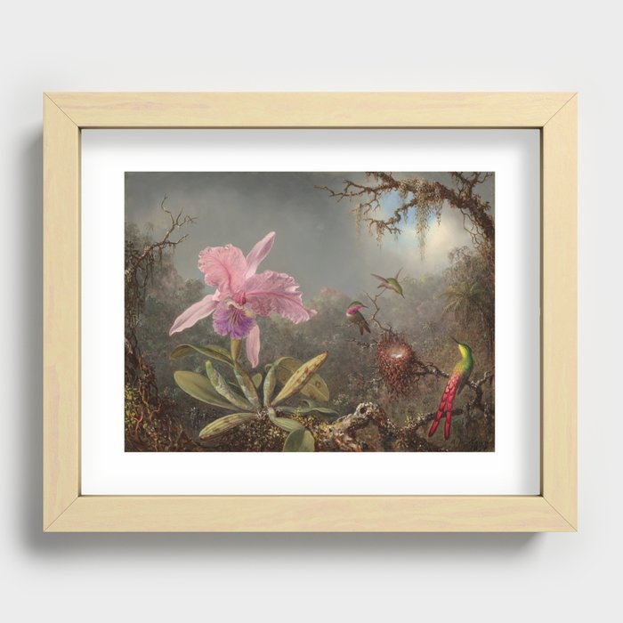 Cattleya Orchid Vintage Botanical Print Recessed Framed Print