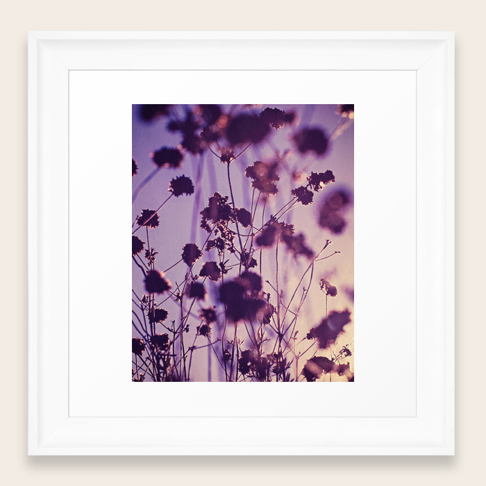 Purple Abstract Flowers Fine Art Photography Framed Art Print By