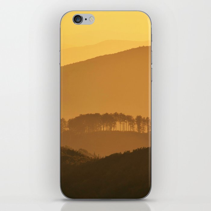Shadows and trees iPhone Skin