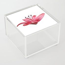  Botanical red tiger Lilly flower blossom Acrylic Box