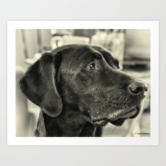 Really? Art Print
