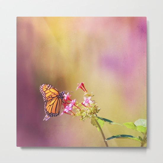 Monarch Rainbows Metal Print