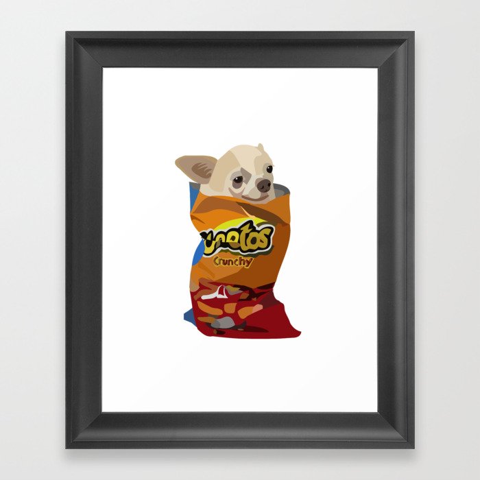 Chihuahua in cheap cheetos bag