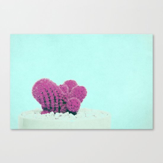 Vintage Pink Cactus on Blue Canvas Print
