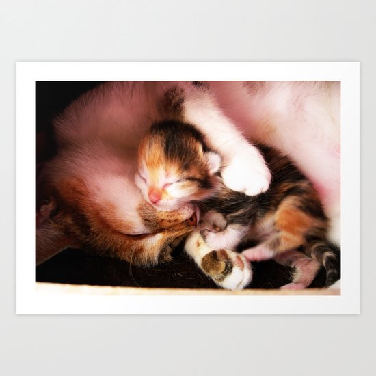Cats hug Art Print