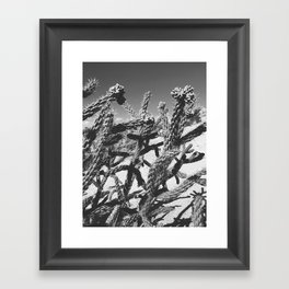 Utah Cactus // Black and white Framed Art Print