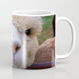 Alpaca Gaze Coffee Mug