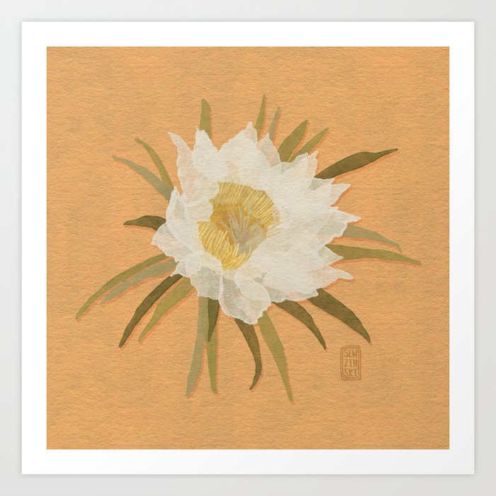 Pitaya Flowers Art Print