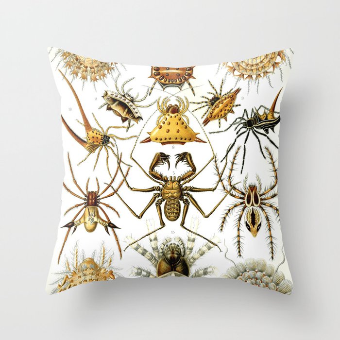 Throw Pillow