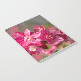 Pink flowers Notebook