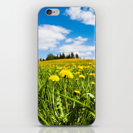 Dandelion field iPhone & iPod Skin