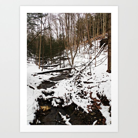 Downhill Stream Art Print