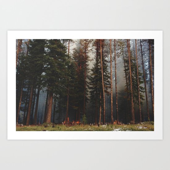 Oregon Forest Control Fire Art Print
