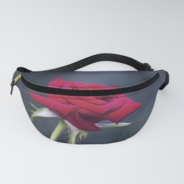 Red rose with petals Fanny Pack
