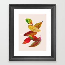 Fall Autumn Feathers Leaves Framed Art Print
