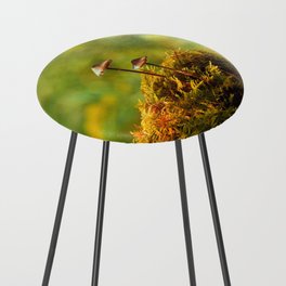 Romantic view with fungus close-up with moss vegetation Counter Stool
