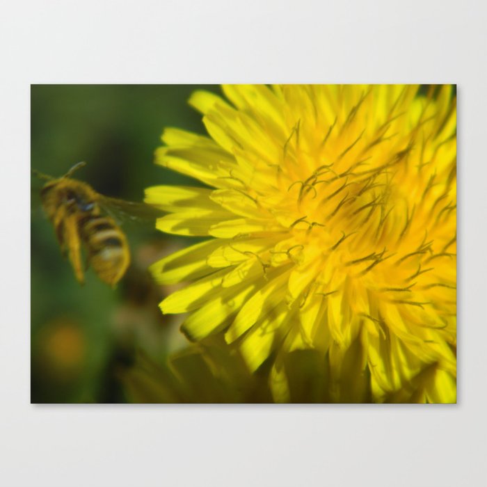 Just Bee Canvas Print